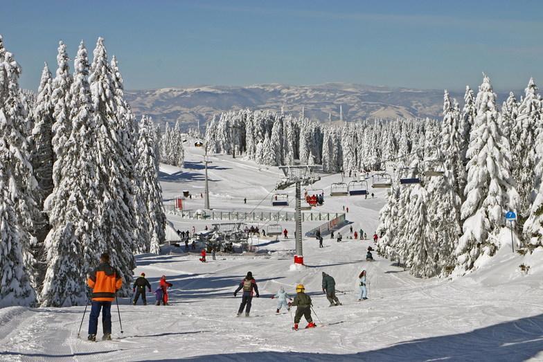 Apartment G6 Kopaonik Zewnętrze zdjęcie